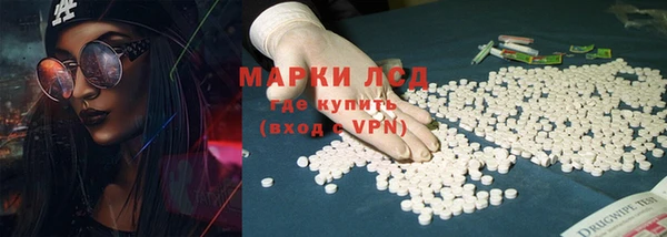 шишки Новозыбков